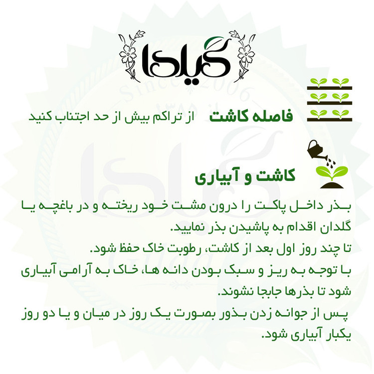 بذر گشنیز گیلدا کد 110