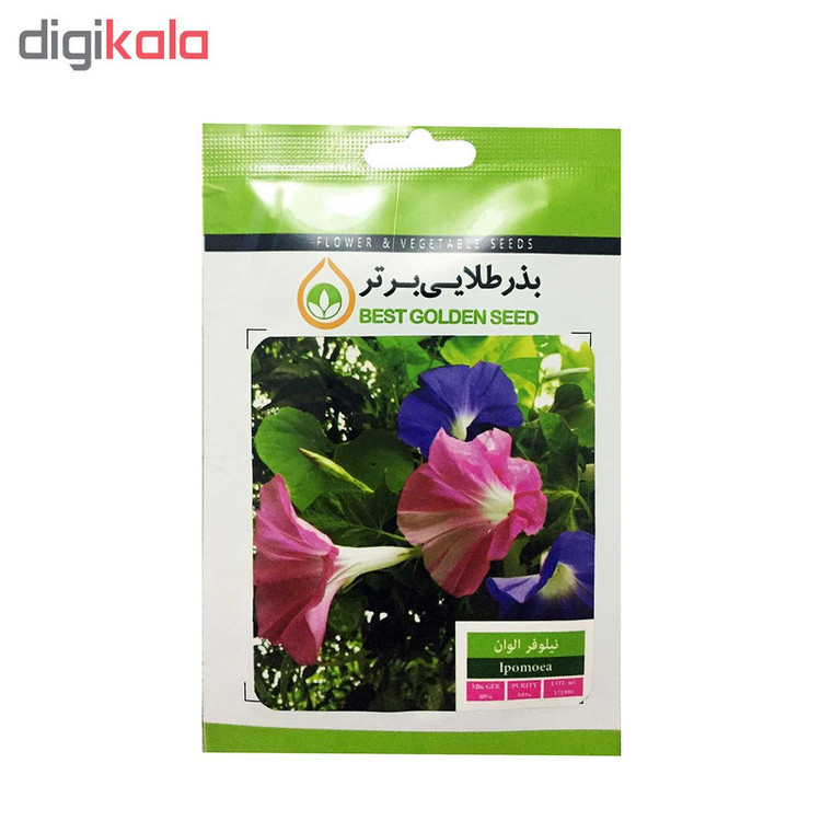بذر گل نیلوفر الوان بذر طلایی برتر کد BZT-37