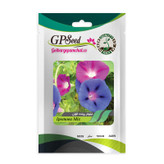 بذر گل های باغچه ای با رویش آسان گلبرگ پامچال کد G-P-GP-012 مجموعه 12 عددی