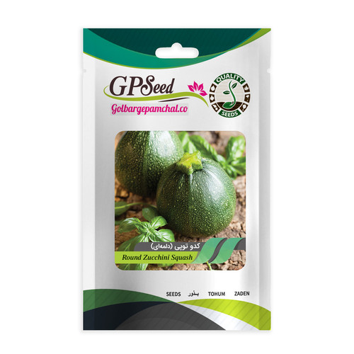 بذر کدو توپی دلمه ای گلبرگ پامچال کد GPF-328