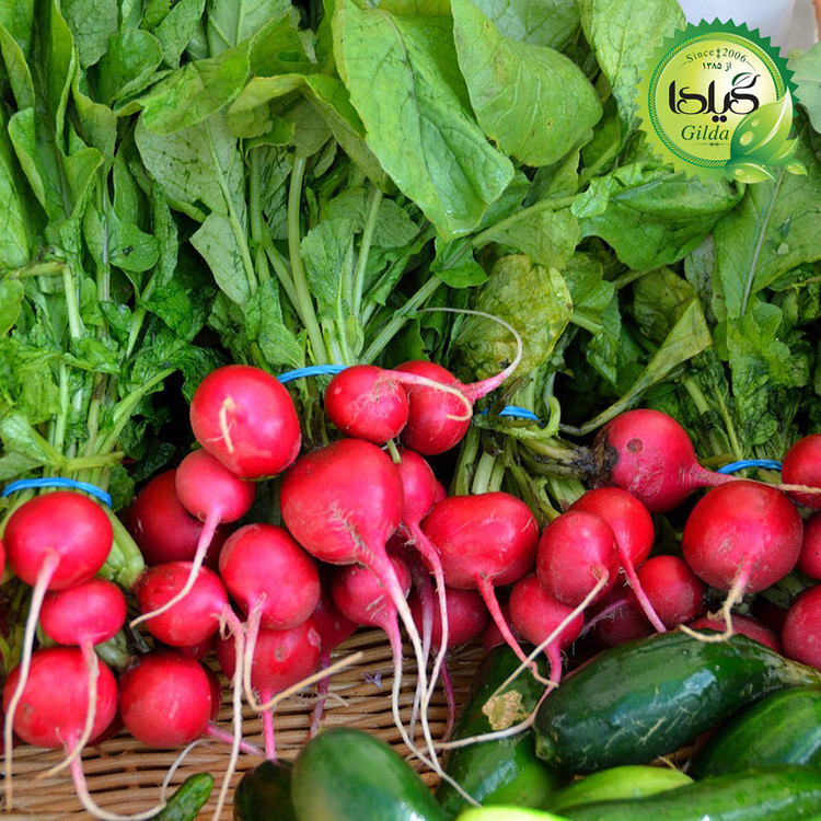 بذر ترپچه گیلدا کد 099 مجموعه 4 عددی