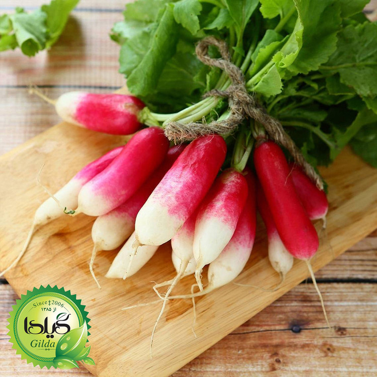 بذر ترپچه گیلدا کد 099 مجموعه 4 عددی