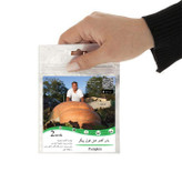 بذر کدو تنبل غول پیکر گلس گاردن مدل GL02