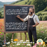 بذر کدو تنبل غول پیکر گلس گاردن مدل GL02