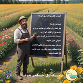 بذر میوه بلوبری پاکوتاه گلدانی گلس گاردن مدل GL10