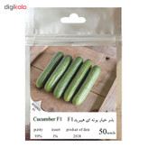بذر خیار بوته ای هیبرید کد 111