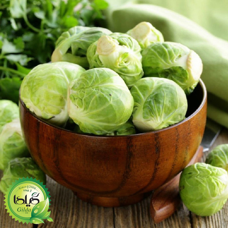 بذر کلم بروکسل گیلدا کد 316