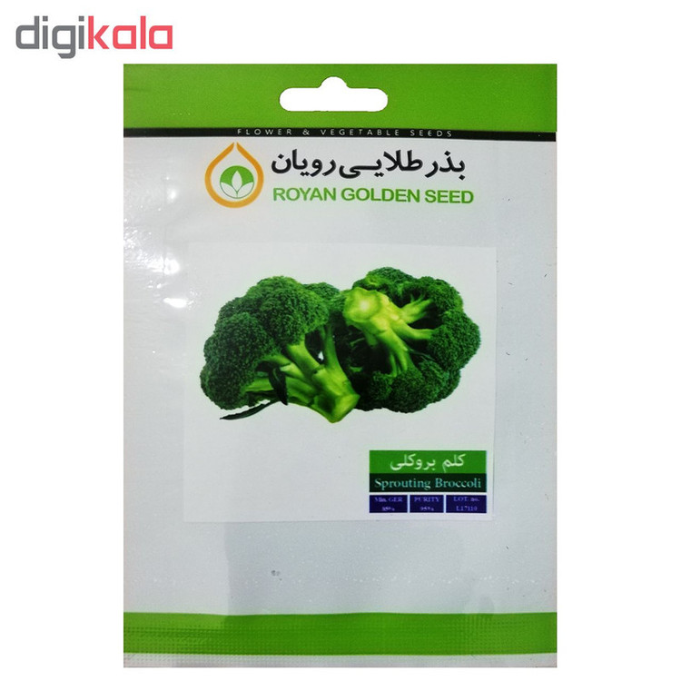 بذر کلم بروکلی بذر طلایی رویان کد BZT-112