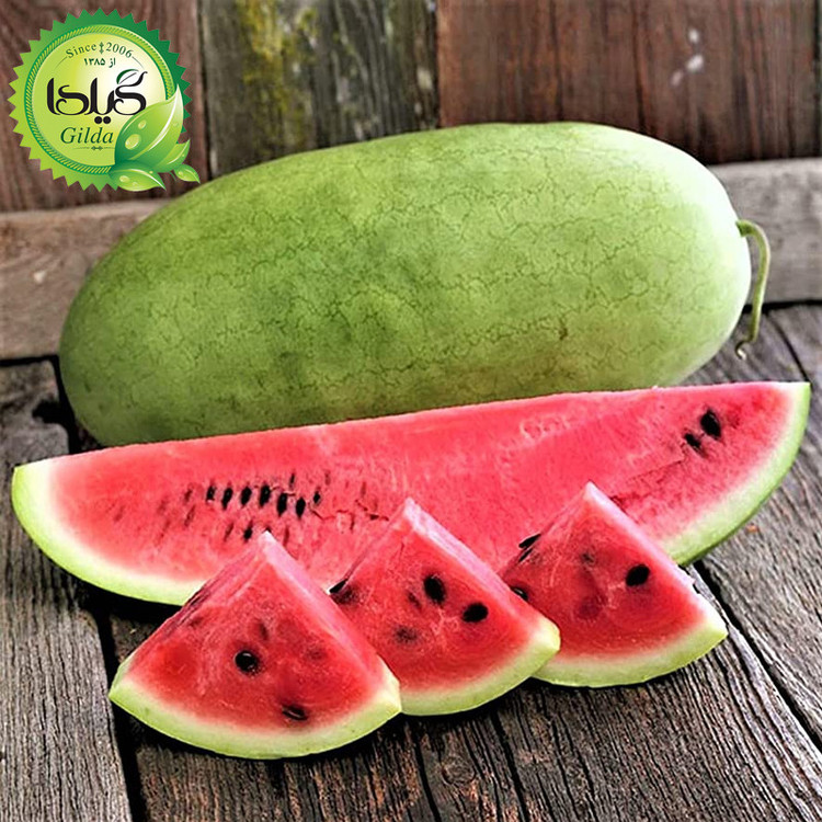 بذر هندوانه گیلدا کد 711