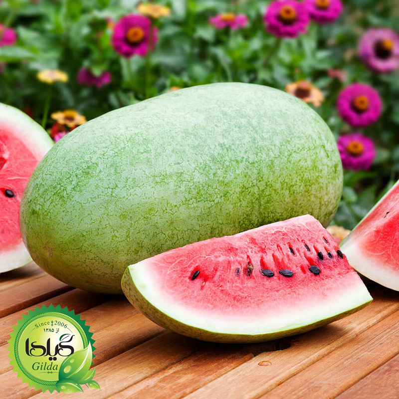 بذر هندوانه گیلدا کد 711