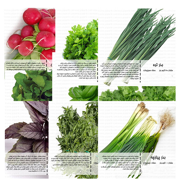 بذر سبزی خوردن مدل 20 مجموعه ده عددی