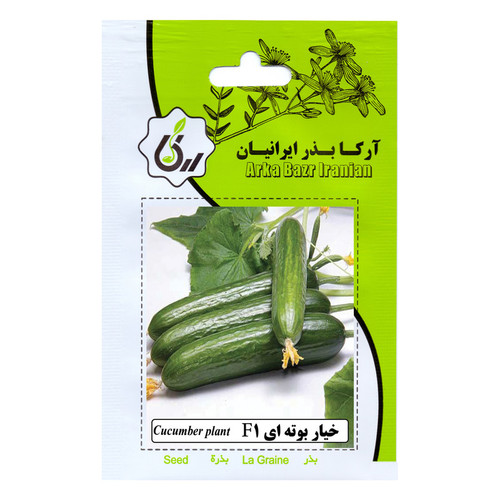 بذر خیار بوته ای F1 آرکا بذر ایرانیان کد 198-ARK