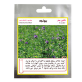 بذر شبدر ، چمن و یونجه تالین بذر کد BZT3-003