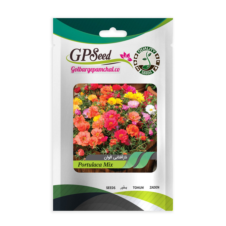 بذر ناز آفتابی الوان گلبرگ پامچال کد GPF-170