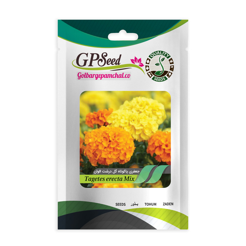 بذر گل جعفری پا کوتاه گل درشت الوان جی پی سید مدل GP488