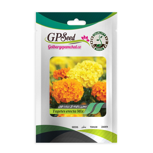 بذر گل جعفری پا کوتاه گل درشت الوان جی پی سید مدل GP488