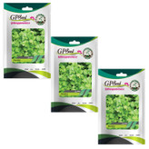 بذر جعفری گلبرگ پامچال کد GPF-149 مجموعه 3 عددی