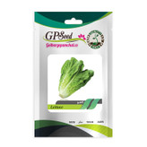 بذر کلم و کاهو گلبرگ پامچال کد G-P-GP-05 مجموعه 5 عددی
