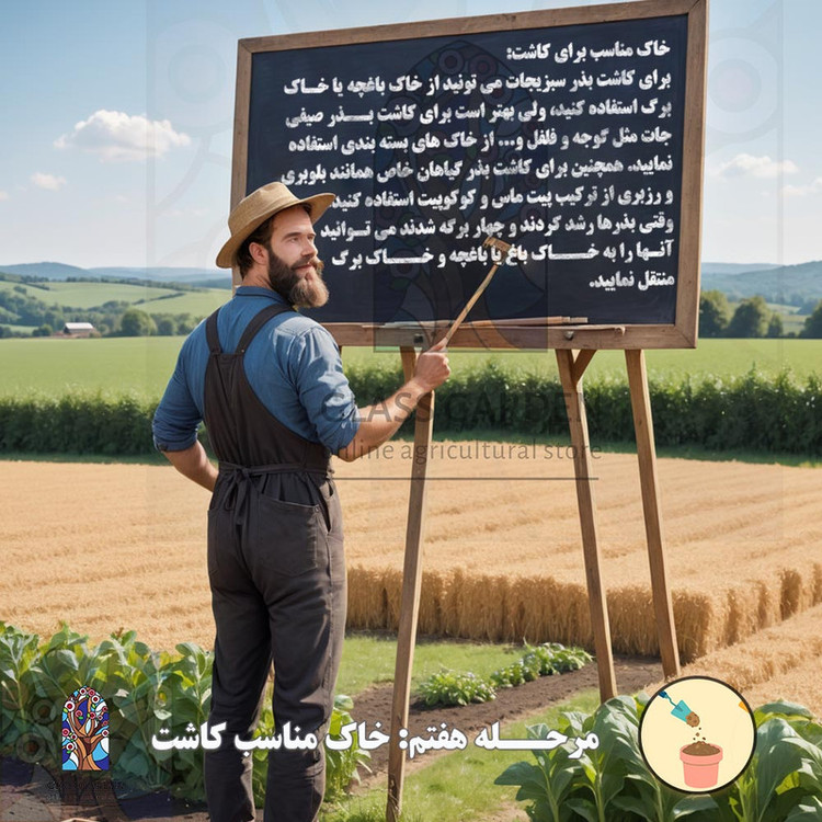 بذر گوجه چروکی بنفش درشت گلس گاردن مدل GL10