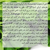 بذر شاهی گرین سیدز کد 216
