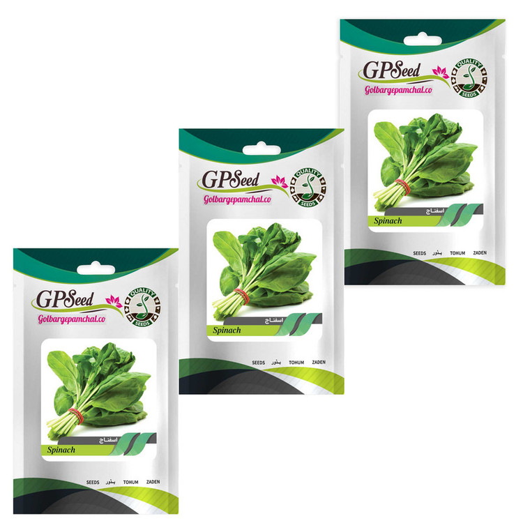 بذر اسفناج گلبرگ پامچال کد GPF-139 محموعه 3 عددی