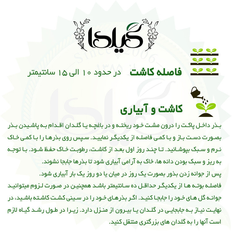 بذر درخشنده الوان گیلدا کد 926