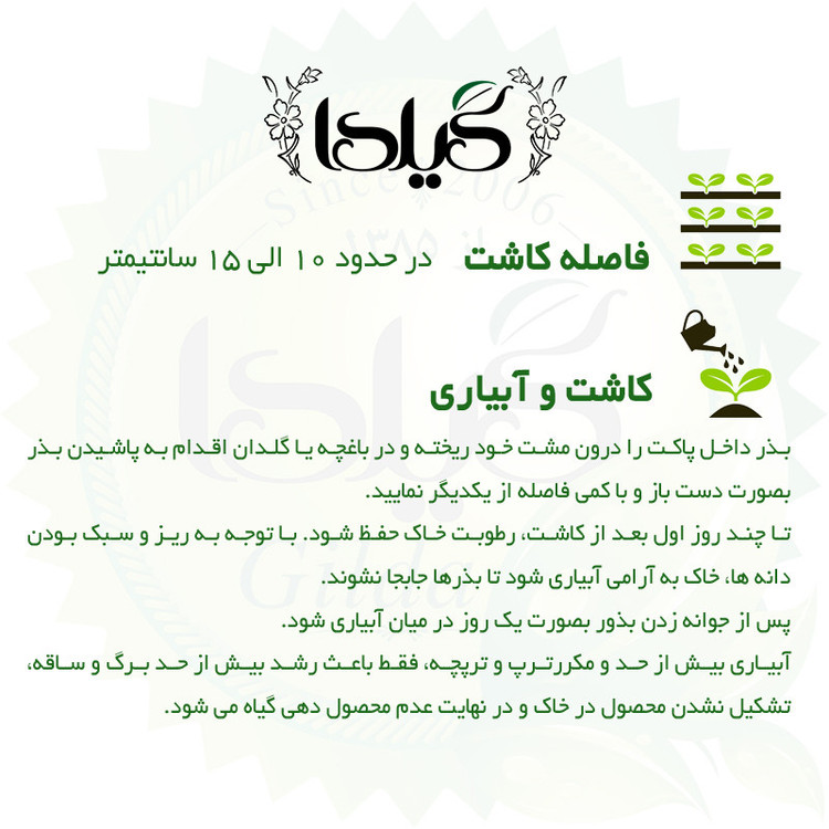 بذر ترپچه میکس گیلدا کد 219
