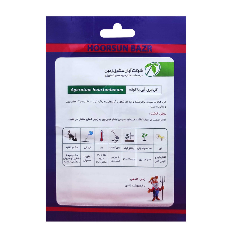 بذر گل ابری پاکوتاه هورسان کد HSN-054