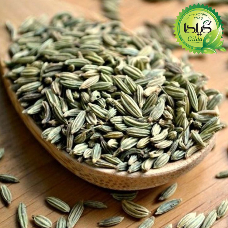 بذر رازیانه گیلدا کد 162