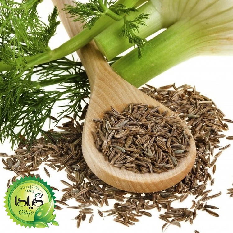 بذر رازیانه گیلدا کد 162