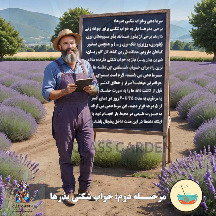 بذر گوجه گیلاسی چری یخی زرد روشن گلس گاردن مدل GL10