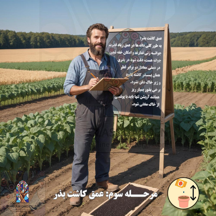 بذر گوجه گیلاسی چری یخی زرد روشن گلس گاردن مدل GL10