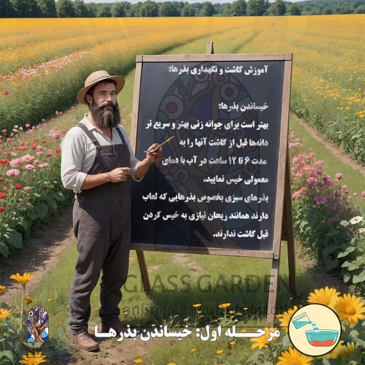 بذر گوجه گیلاسی چری یخی زرد روشن گلس گاردن مدل GL10