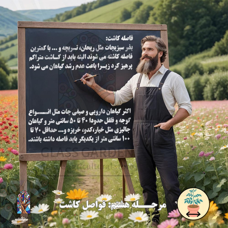 بذر گوجه گیلاسی چری یخی زرد روشن گلس گاردن مدل GL10
