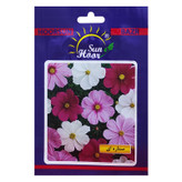 بذر گل ستاره ای هورسان کد HSN-037
