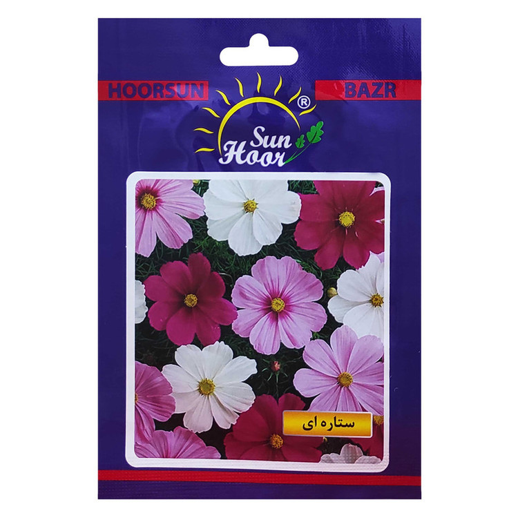 بذر گل ستاره ای هورسان کد HSN-037