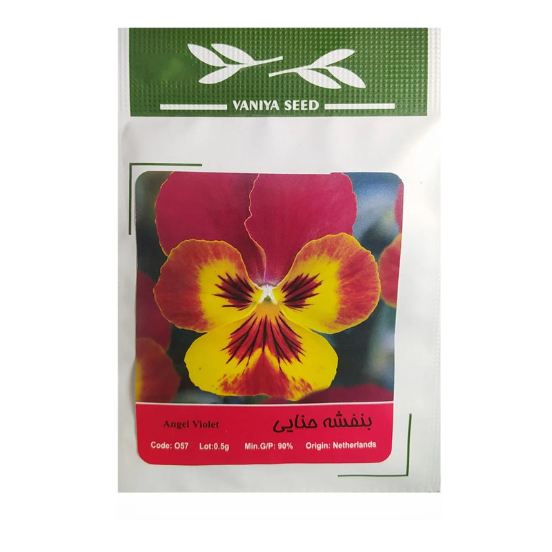 بذر گل بنفشه حنایی وانیا سید مدل BA1465