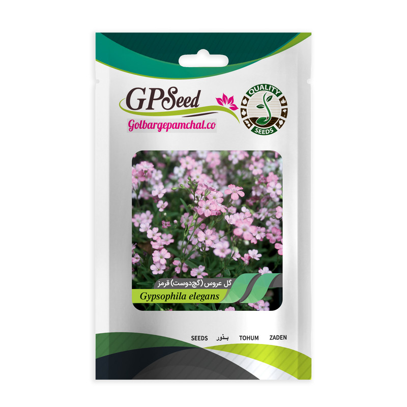 بذر گل عروس گچ دوست قرمز گلبرگ پامچال کد GPF-345