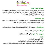بذر خربزه جان کانری جی پی سید مدل GP2205