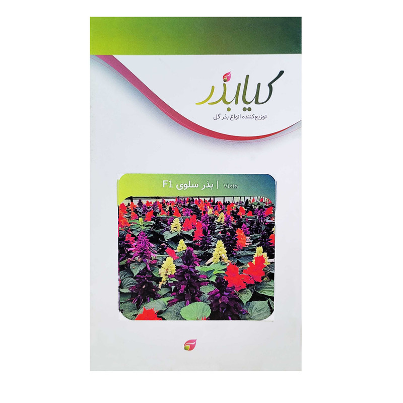 بذر گل سلوی F1 کیا بذر کد 016