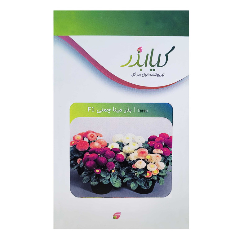 بذر گل مینا چمنی F1 کیا بذر کد 021