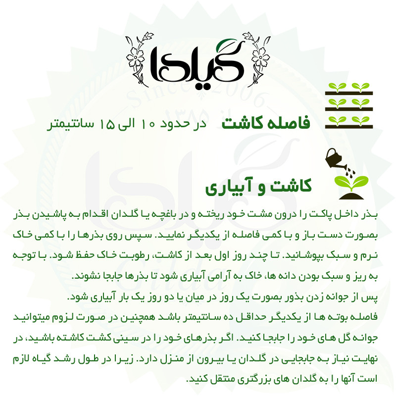 بذر شقایق الوان گیلدا کد 891