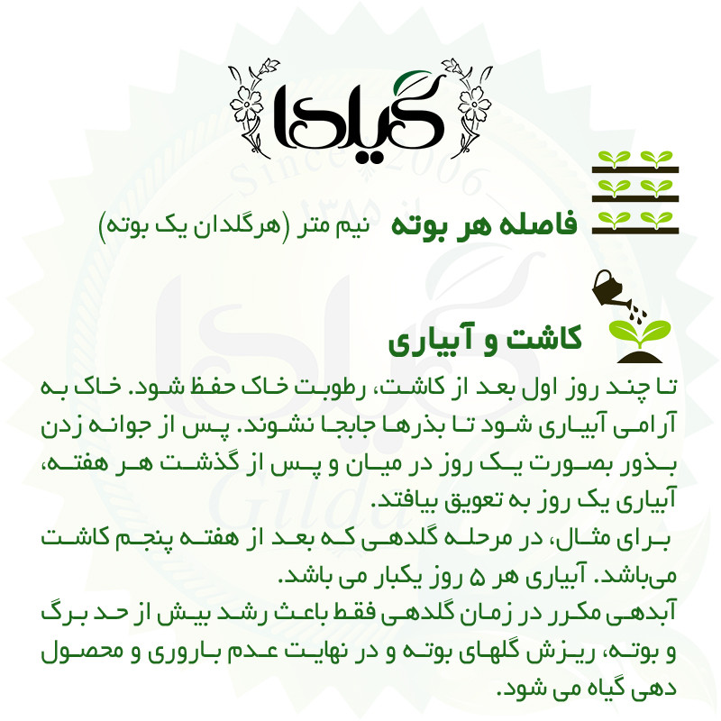 بذر طالبی سمسوری گیلدا کد 750
