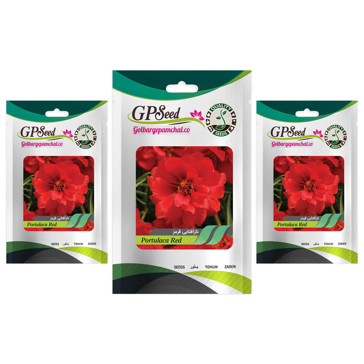 بذر گل ناز آفتابی پاکوتاه قرمز گلدانی گلبرگ پامچال کد GPF-089 مجموعه 3 عددی