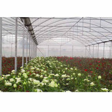 توری شید گلخانه مدل ریزبافت ضد آفتاب کد 2/5 طول 5 متر