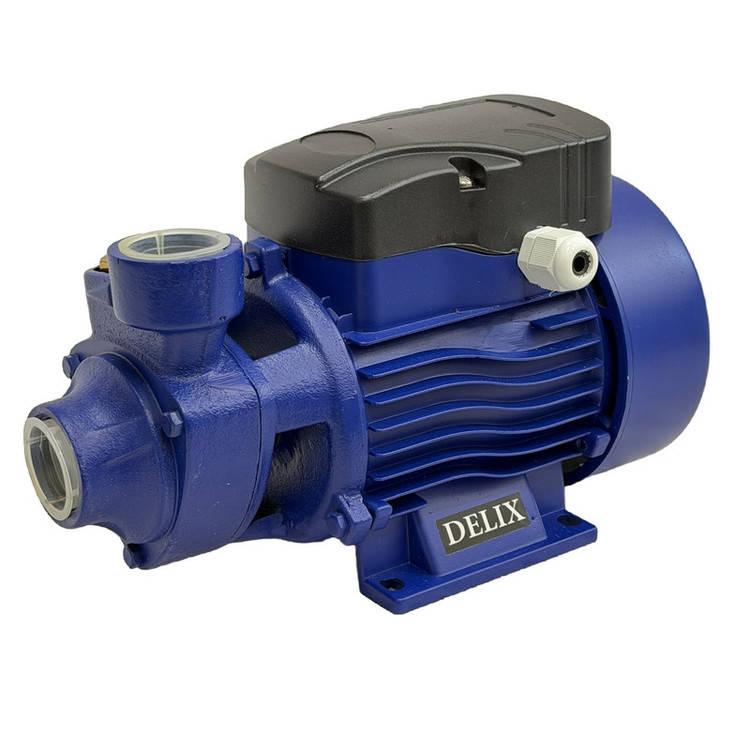 پمپ آب نیم اسب بخار دلیکس کد RKM-60