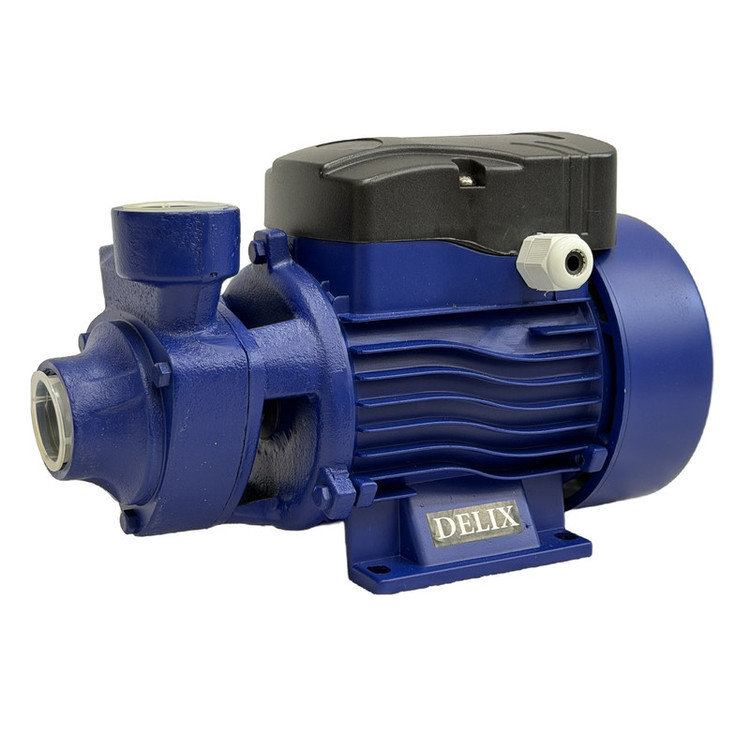 پمپ آب نیم اسب بخار دلیکس کد RKM-60