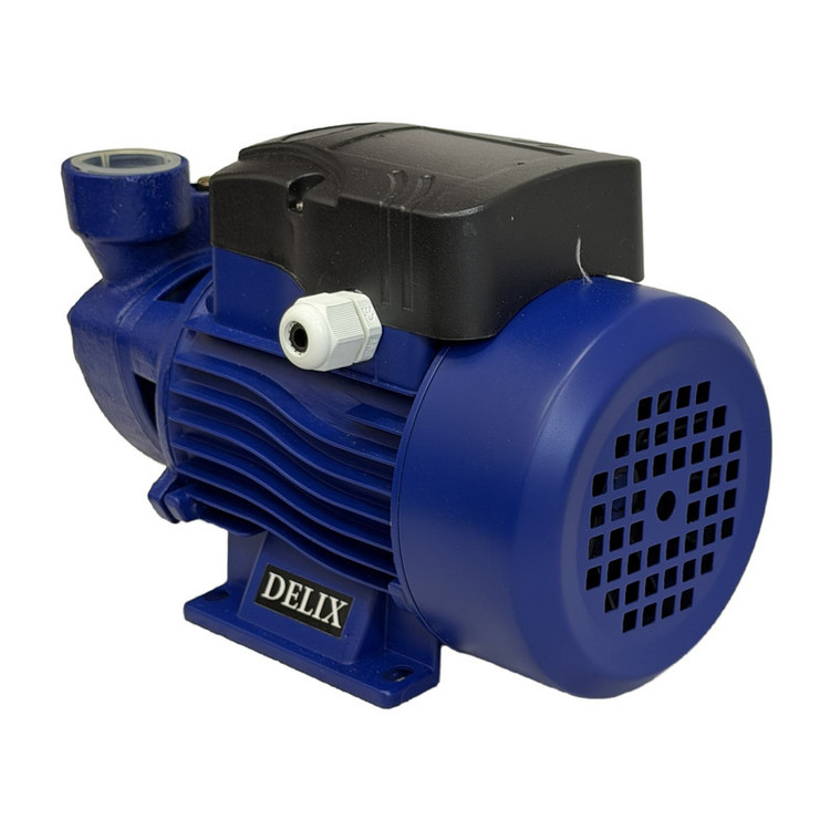 پمپ آب نیم اسب بخار دلیکس کد RKM-60