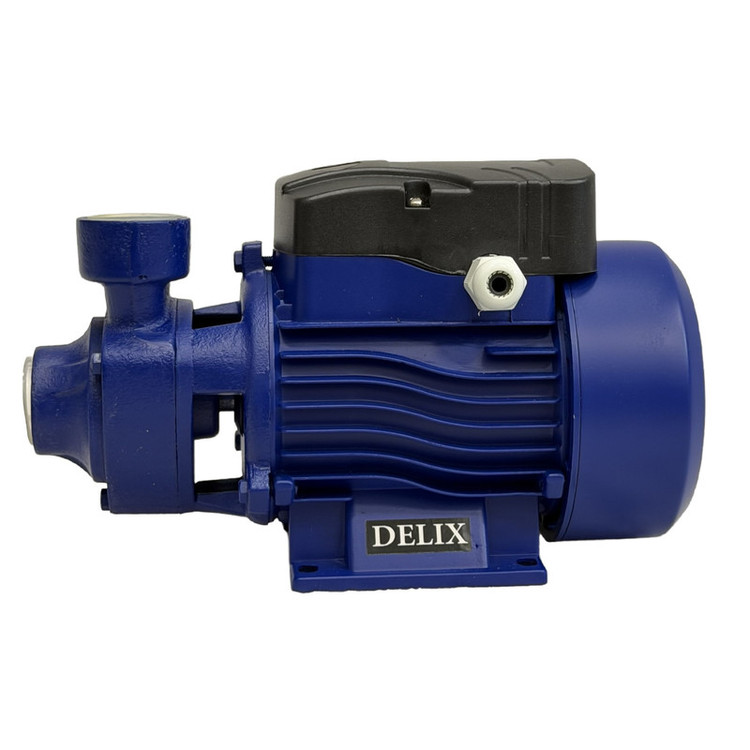 پمپ آب نیم اسب بخار دلیکس کد RKM-60