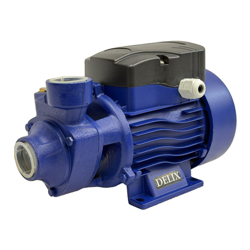 پمپ آب نیم اسب بخار دلیکس کد RKM-60